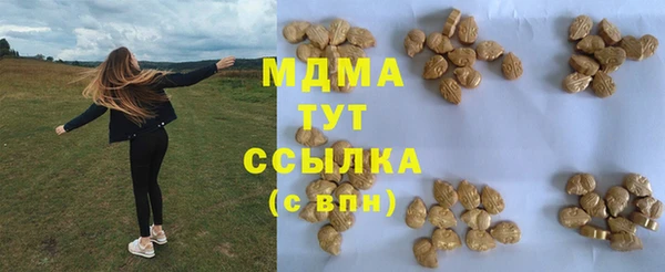 молекула духа Богородицк