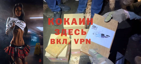 молекула духа Богородицк
