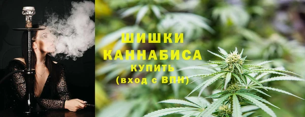 молекула духа Богородицк
