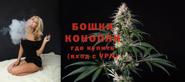 дмт Богданович