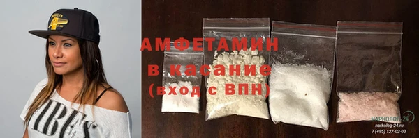 дмт Богданович