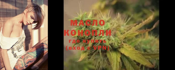 дмт Богданович