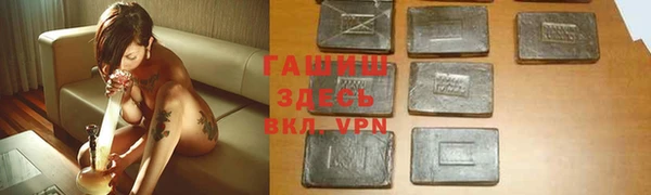 дмт Богданович
