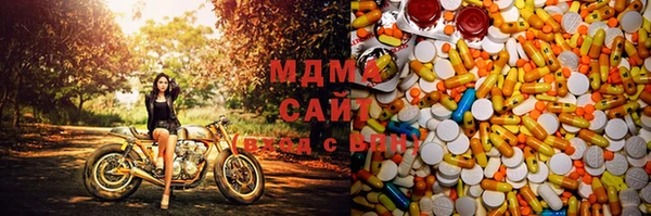 молекула духа Богородицк