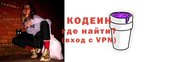 молекула духа Богородицк