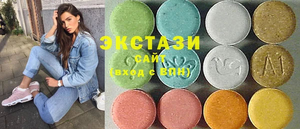 молекула духа Богородицк
