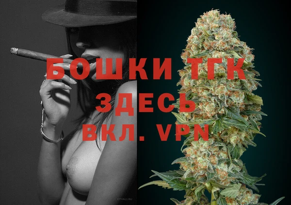 молекула духа Богородицк