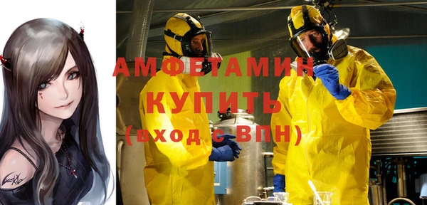 дмт Богданович