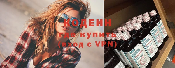 молекула духа Богородицк