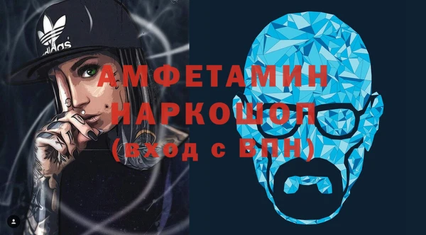 молекула духа Богородицк
