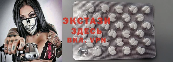 дмт Богданович