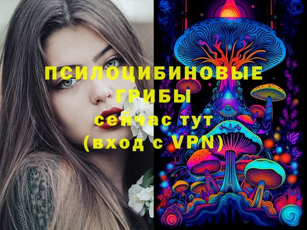 дмт Богданович