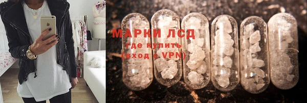 молекула духа Богородицк