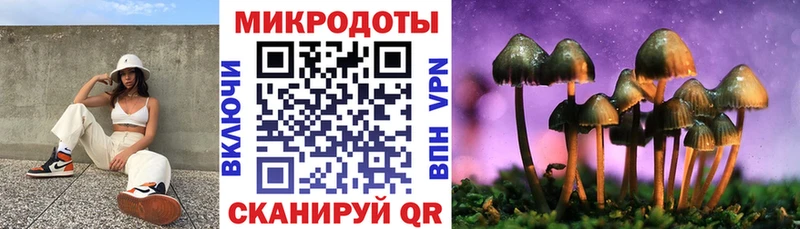Псилоцибиновые грибы Psilocybe  Ильский 